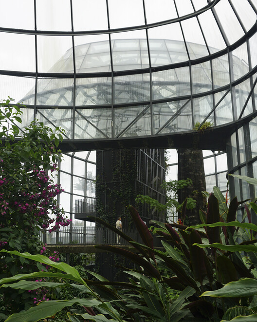 До и после: Тропикариум ботанического сада Боготы — изображение 10 из 16
