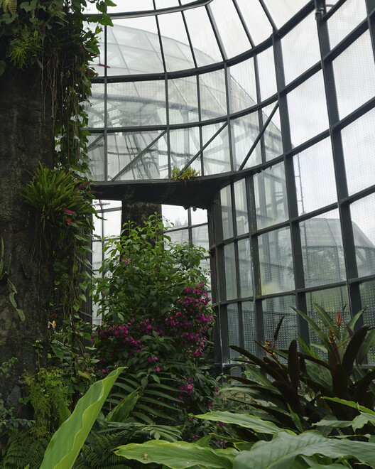 До и после: Тропикариум ботанического сада Боготы — изображение 15 из 16