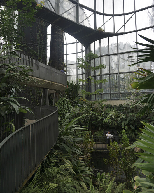 До и после: Тропикариум ботанического сада Боготы — изображение 14 из 16
