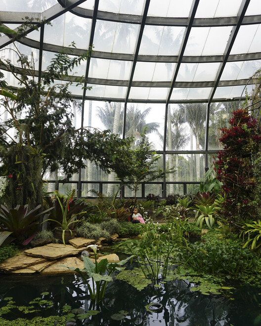 До и после: Тропикариум ботанического сада Боготы — Изображение 12 из 16