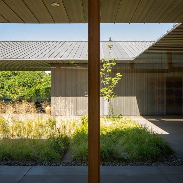 Waechter Architecture разместила дождевой сад в Meadow House в Орегоне