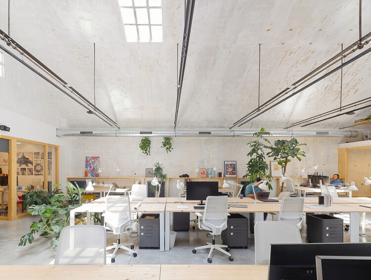 Cowork Greenhouse / F5 Proyectos y Arquitectura - Интерьерная фотография, Стол, Стул, Окна