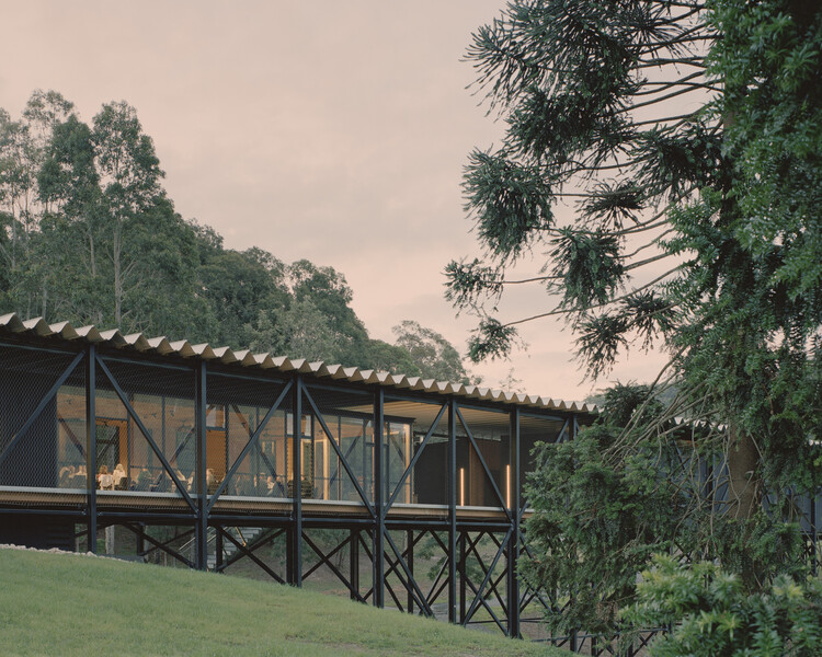 Художественный музей и мост Банданона / Kerstin Thompson Architects - Экстерьерная фотография, лес, сад