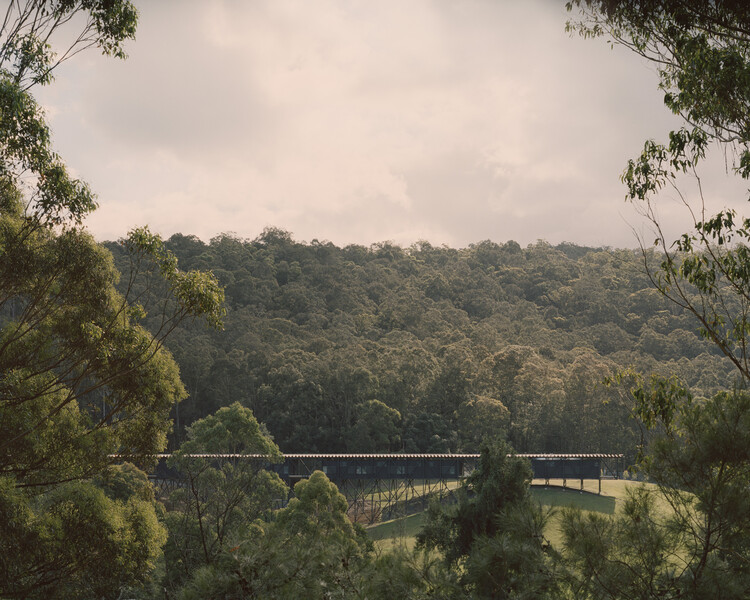 Художественный музей и мост Банданона / Kerstin Thompson Architects - экстерьерная фотография, лес
