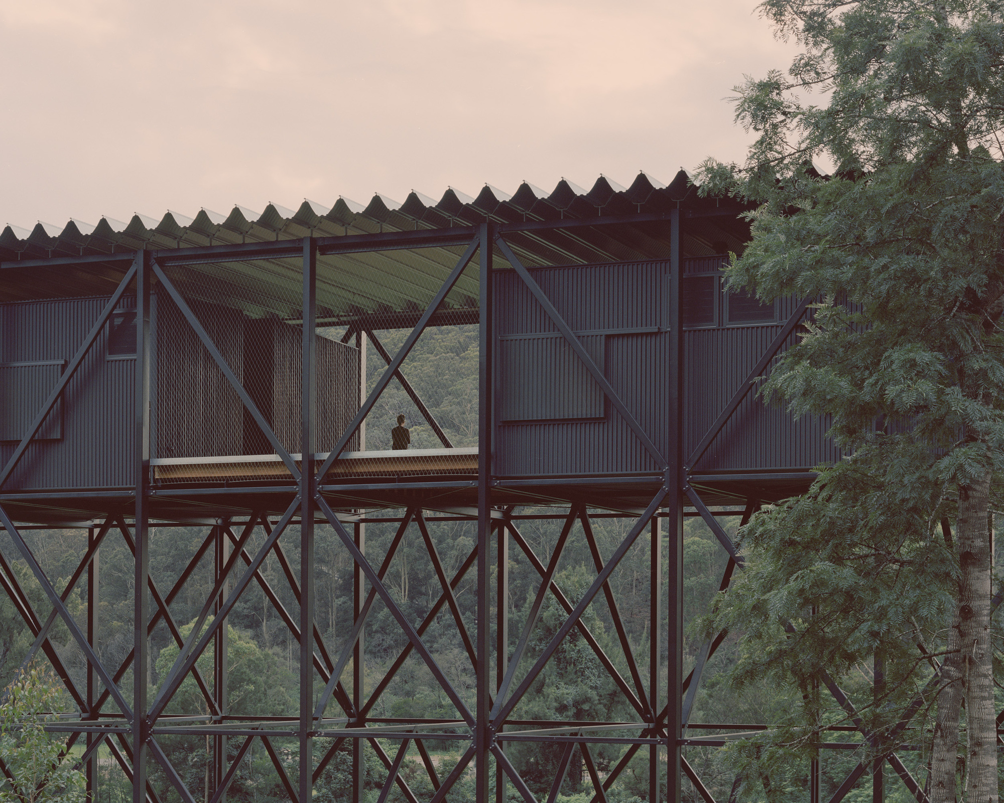 Художественный музей и мост Банданона / Kerstin Thompson Architects