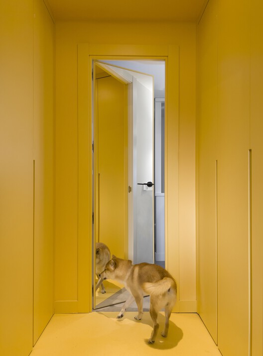 Ремонт дома J29 / SUAV - Интерьерная фотография, Дверь