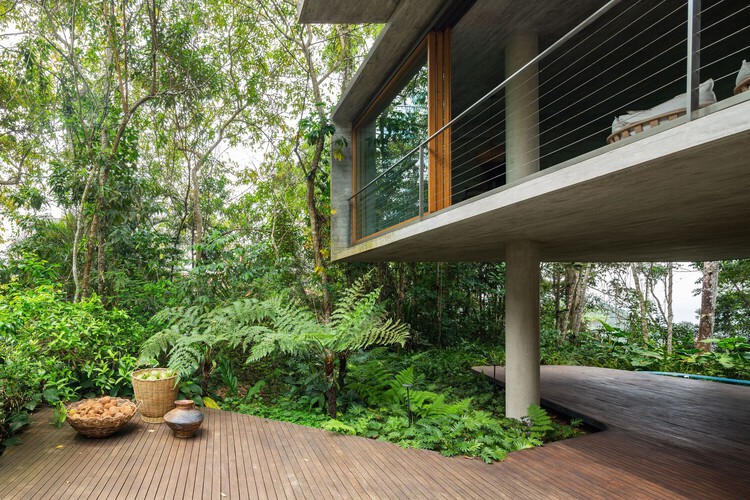 Бетонные джунгли: дома, которые исследуют контраст между бетоном и растительностью — изображение 13 из 13