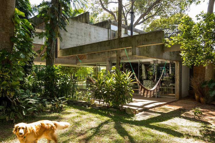Бетонные джунгли: дома, которые исследуют контраст между бетоном и растительностью — изображение 2 из 13