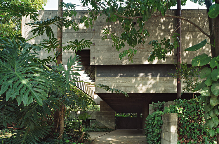 Бетонные джунгли: дома, которые исследуют контраст между бетоном и растительностью — изображение 4 из 13
