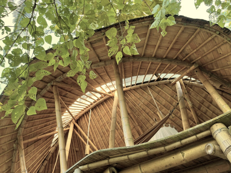 Руководство по началу строительства бамбукового дома — изображение 3 из 7