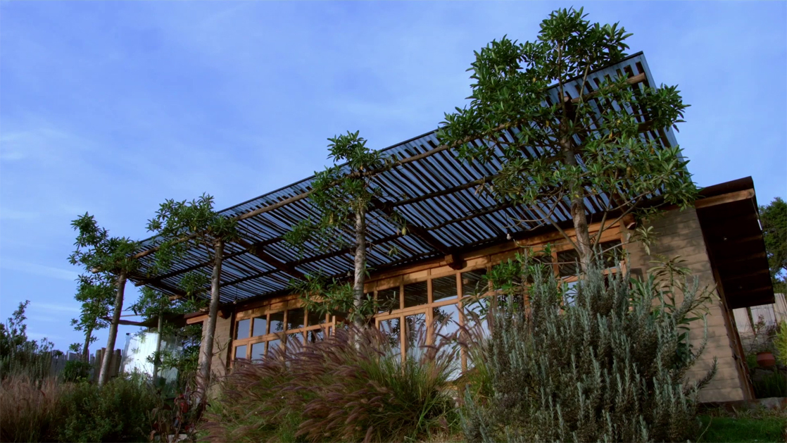 «Здание с живыми деревьями»: история Casa Jardín в Кито, Эквадор
