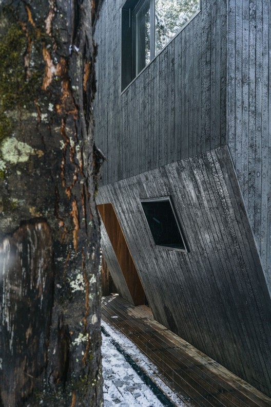 Gallareta House / OJA (органическая и радостная архитектура) - фотография экстерьера, окна, дерево