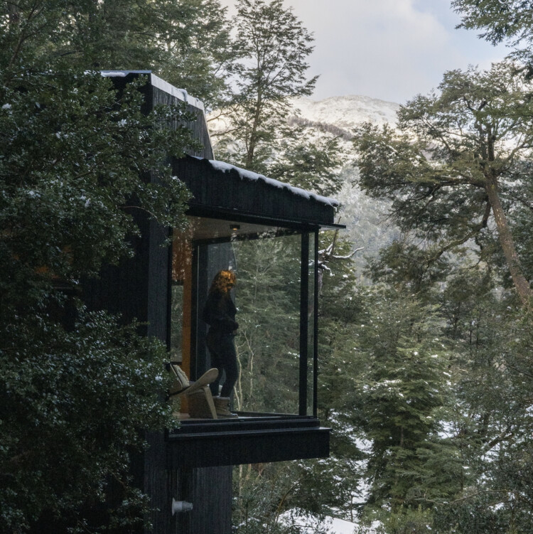 Gallareta House / OJA (органическая и радостная архитектура) – фотография экстерьера, лес
