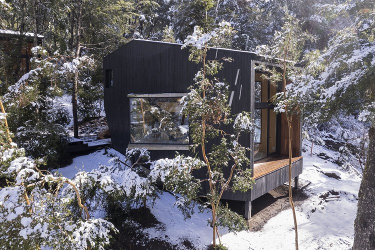 Gallareta House / OJA (органическая и радостная архитектура) – фотография экстерьера, окна, лес