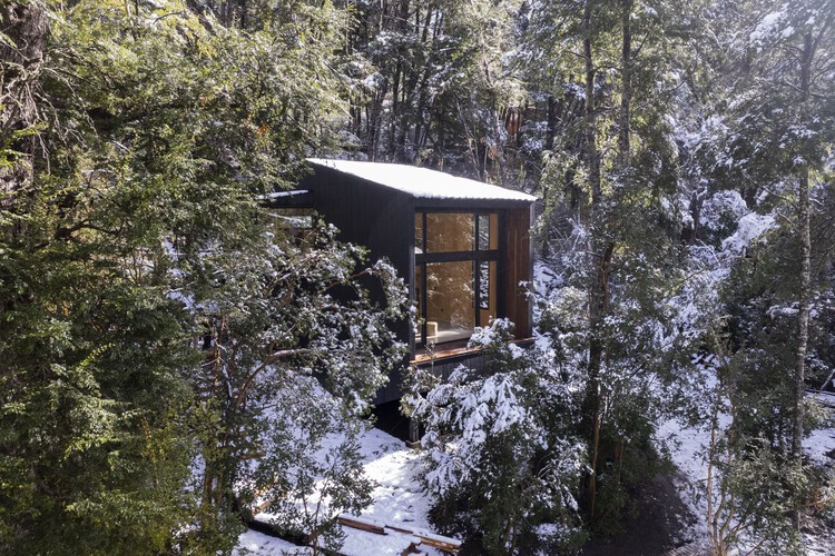 Gallareta House / OJA (органическая и радостная архитектура) – фотография экстерьера, лес