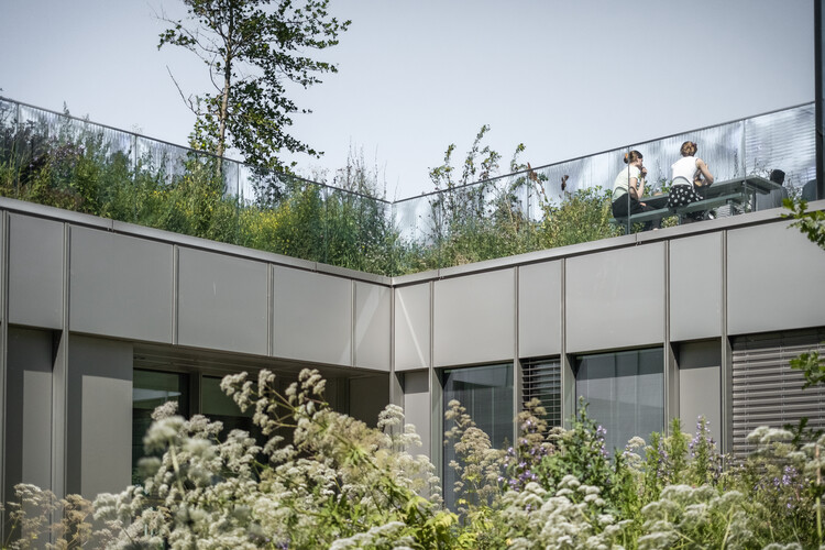 Диабетический центр Стено Копенгаген / Vilhelm Lauritzen Architects + Mikkelsen Architects + STED - Экстерьерная фотография, окна, сад