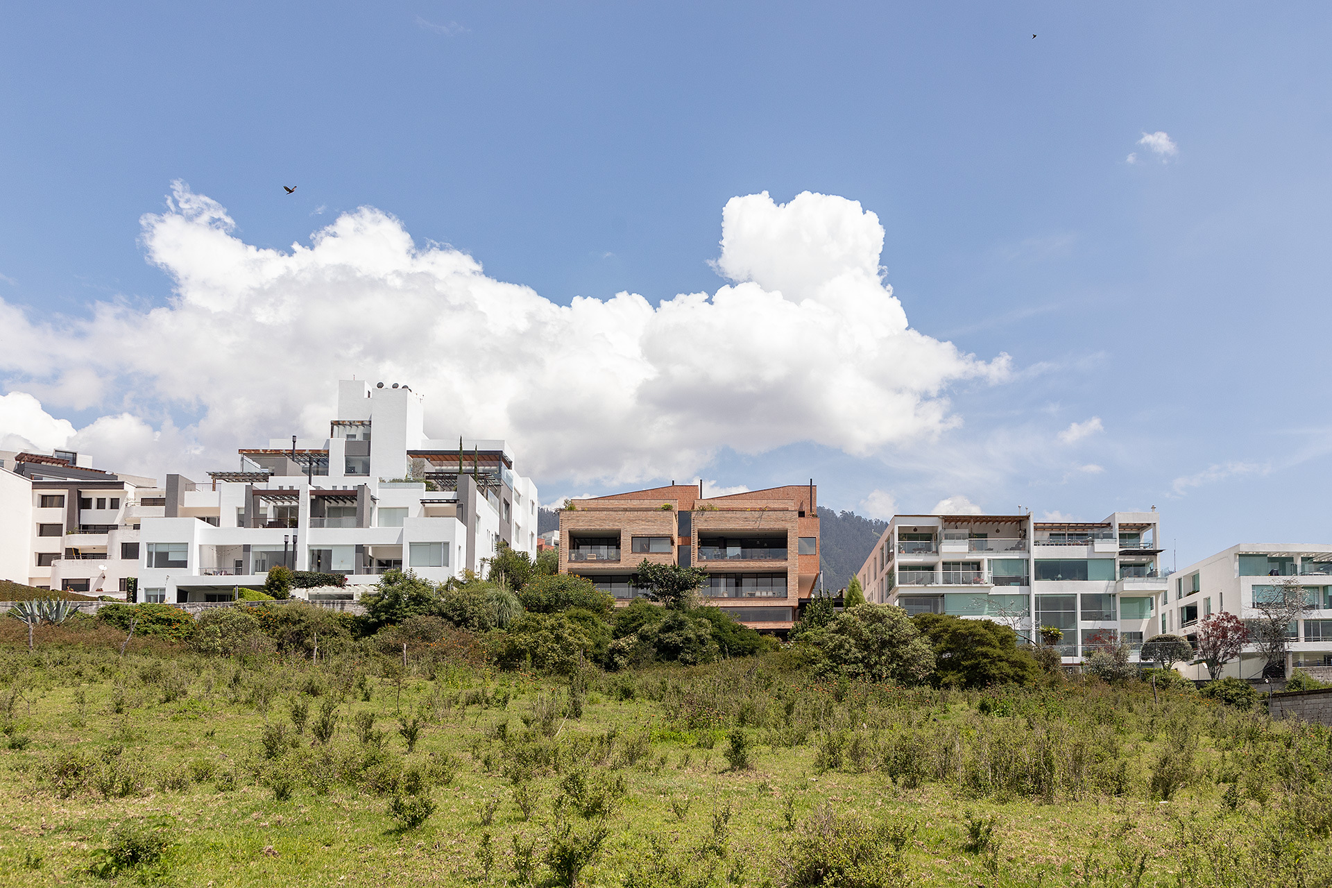 Апартаменты Bonica / Diez + Muller Arquitectos + Arq.  Альваро Борреро