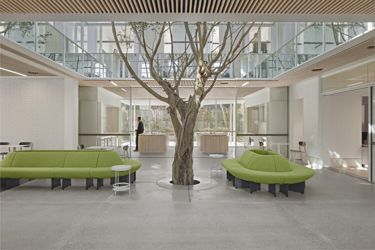 Офисы Campbel House / Tonkin Zulaiha Greer Architects — фотография интерьера, гостиная, диван