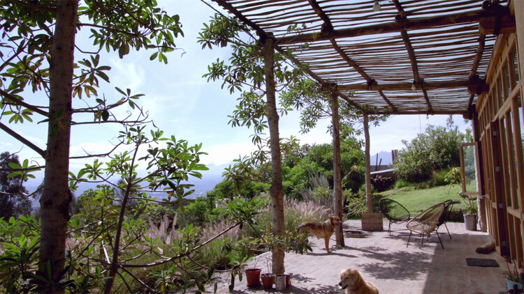 «Здание с живыми деревьями»: история Casa Jardín в Кито, Эквадор – изображение 4 из 6