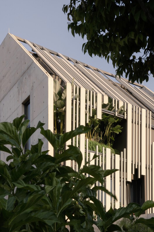 Дом в Терубоке / CDG Architects - Фотография экстерьера, окна, фасад, сад