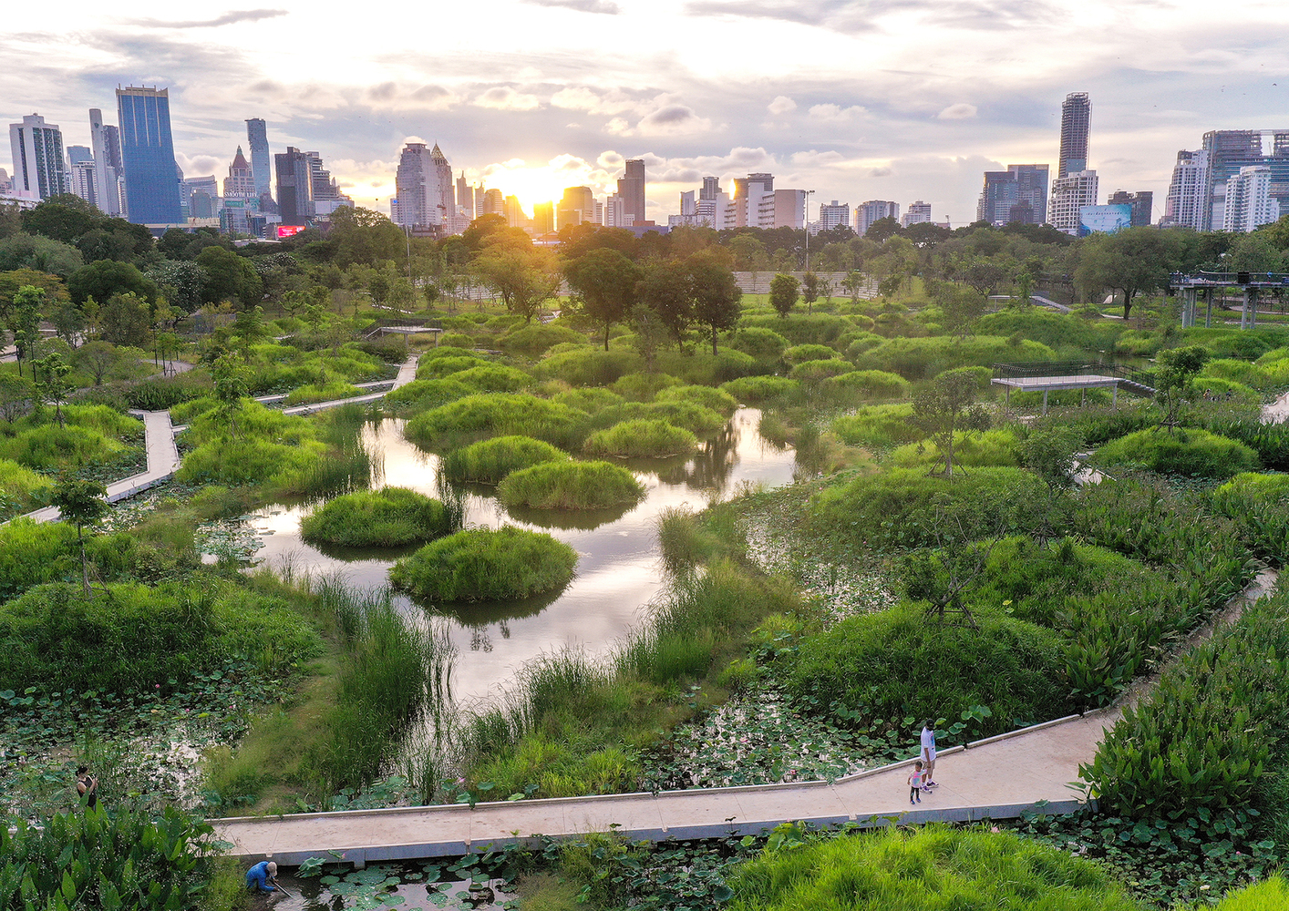 6 успешных проектов городских парков, которые являются горячими точками биоразнообразия
