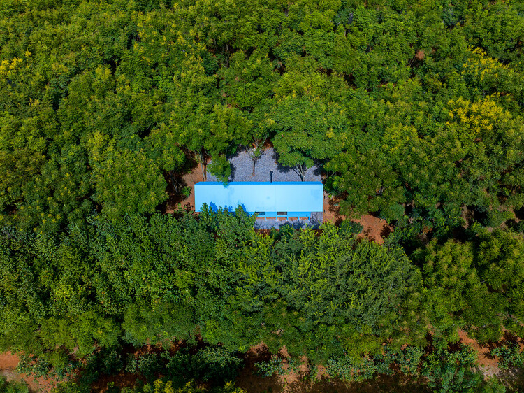 Хижина художника / Wiki World + Лаборатория передовой архитектуры — фотография экстерьера, сад, лес