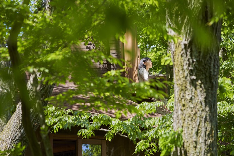 Хижина на дереве на вулкане / Хироши Накамура и NAP — фотография экстерьера, лес, сад