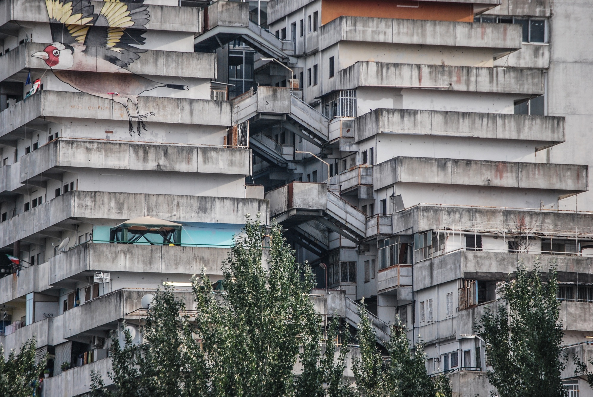Кабрини-Грин и Веле-ди-Скампия: когда проекты государственного жилищного строительства не срабатывают