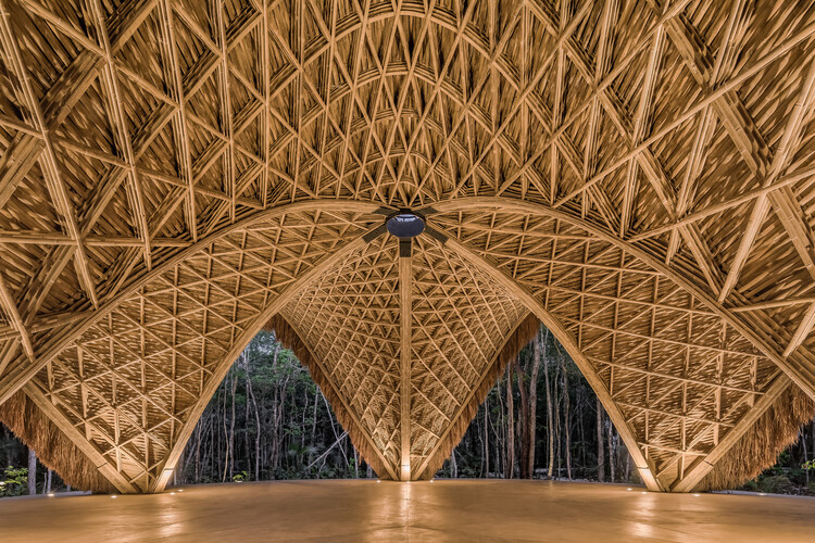 Раздвигая границы с помощью бамбука: пример структурного проектирования — изображение 3 из 12