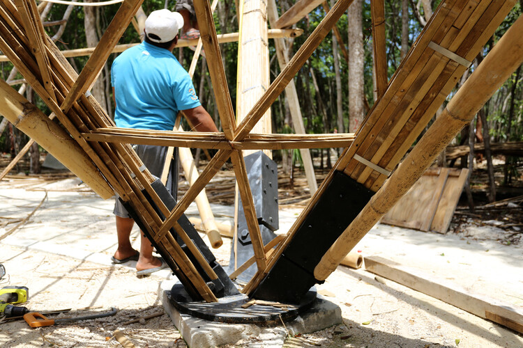 Раздвигая границы с помощью бамбука: пример структурного проектирования — изображение 2 из 12