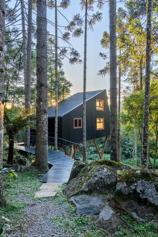 Дом на дереве / Íntegra Studio Arquitetura - Фотография экстерьера, окна, лес