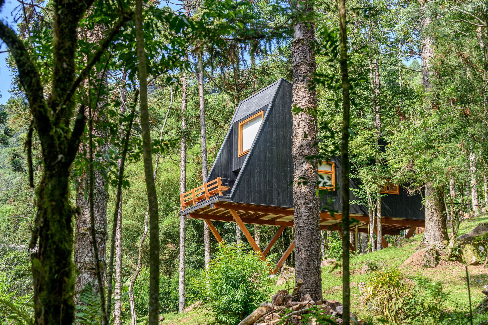 Дом на дереве / Íntegra Studio Arquitetura