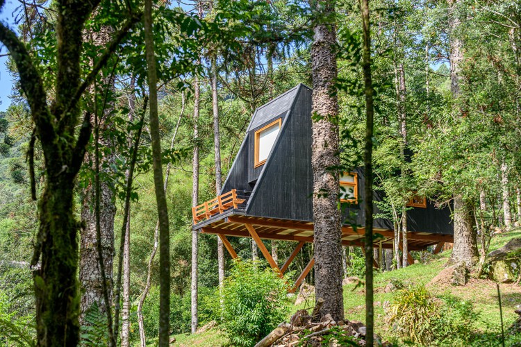 Дом на дереве / Íntegra Studio Arquitetura - Фотография экстерьера, окна, лес