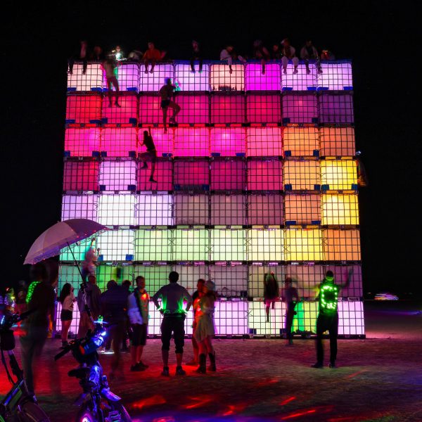 Одиннадцать инсталляций с фестиваля Burning Man этого года «Animalia»