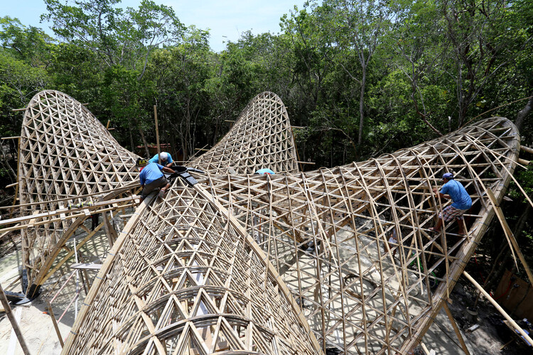 Раздвигая границы с помощью бамбука: пример структурного проектирования — изображение 1 из 12
