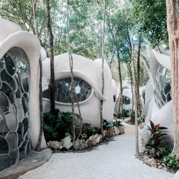 Roth Architecture создает офис в Тулуме в форме «крыла насекомого»