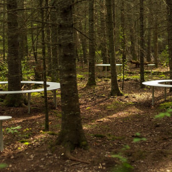 Том Фужер создает коллекцию кольцеобразных скамеек для лесной почвы