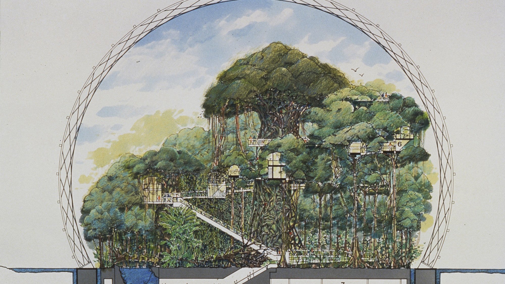Выставка МоМА исследует историю экологической архитектуры