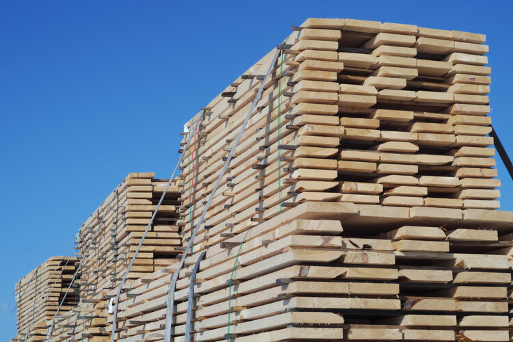 Является ли древесина устойчивым решением для Ближнего Востока?  - Изображение 2 из 11