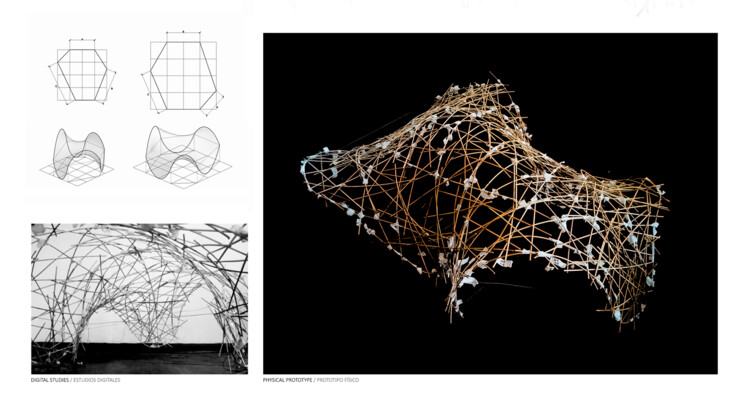 BASE Studio раскрывает конструктивные, структурные и эстетические возможности тростника колиуэ — изображение 5 из 11