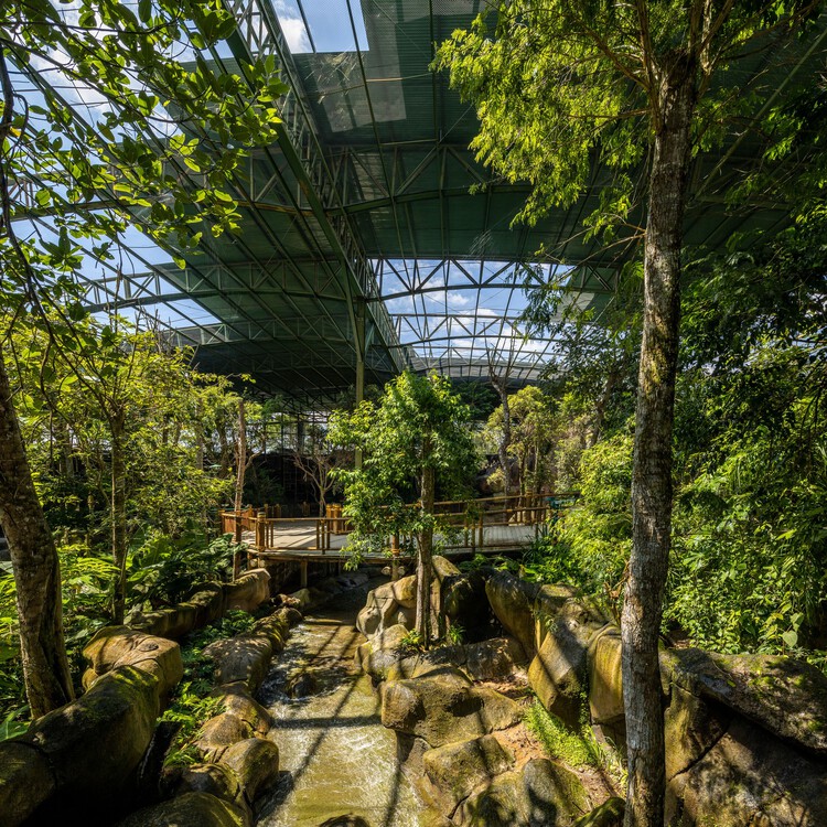Иммерсивный виварий в биопарке Animália / AM2 ARQUITETURA - Экстерьерная фотография, лес, сад