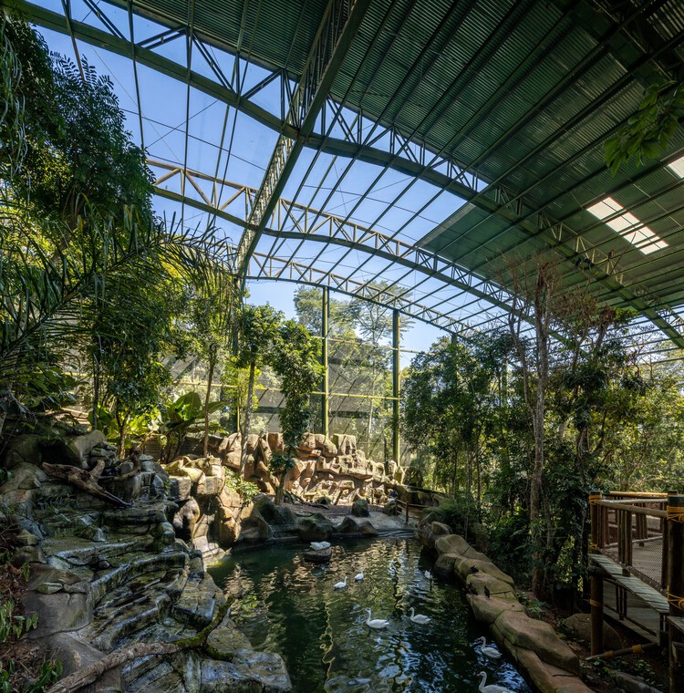 Иммерсивный виварий в биопарке Animália / AM2 ARQUITETURA - Экстерьерная фотография, набережная, лес, сад