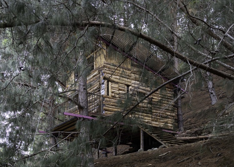 Дом на дереве / FB+ estudio - Фотография экстерьера, Лес