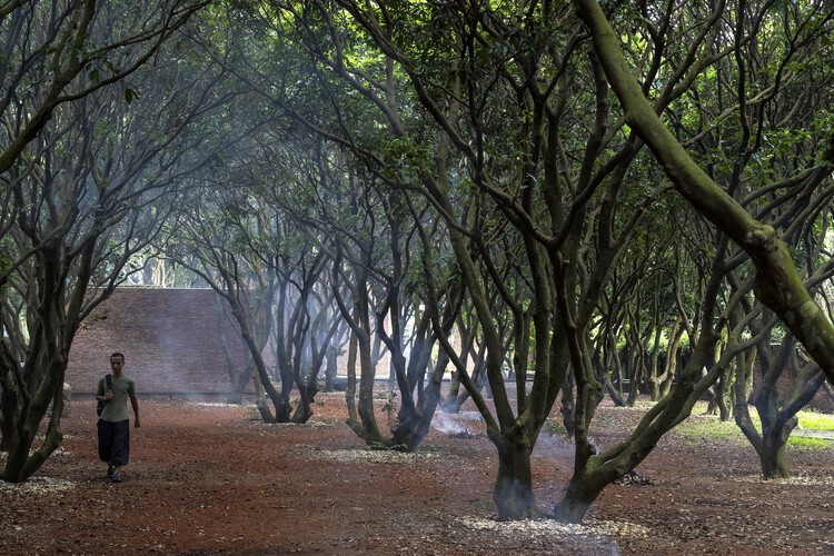 Музей До Му / ARB Architects - Фотография экстерьера, лес