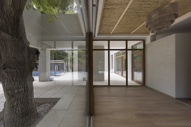 Дом между двумя грецкими орехами / KAV Architects - Фотография интерьера, окон, фасада