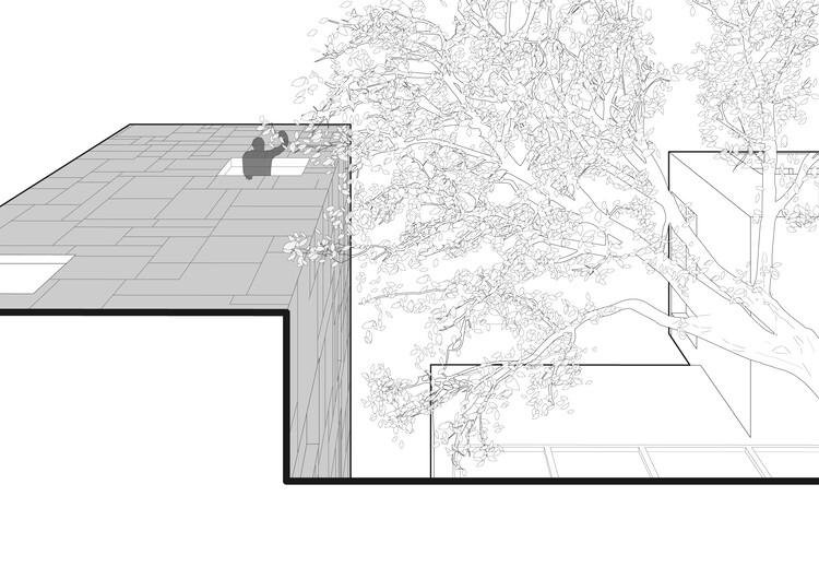 Дом между двумя грецкими орехами / KAV Architects — изображение 32 из 34