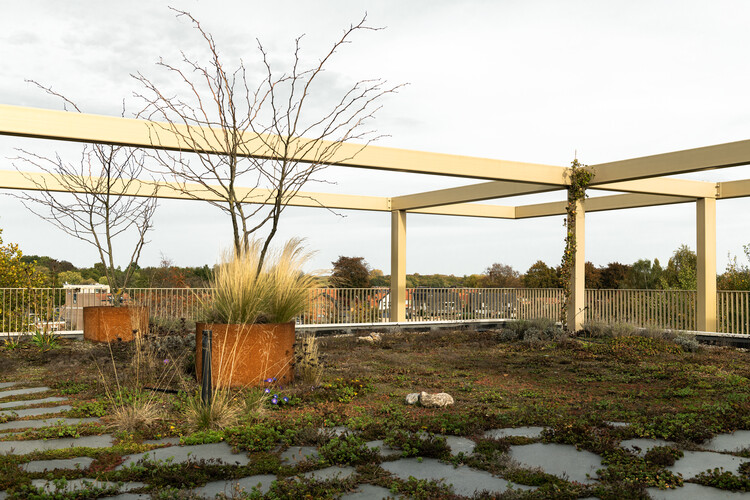 Parkbuilding De Veentjes / JCR Architecten - Фотография экстерьера, сад