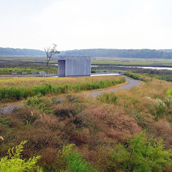 Отдел полевых операций превращает восстановленную свалку Статен-Айленда в водно-болотный парк