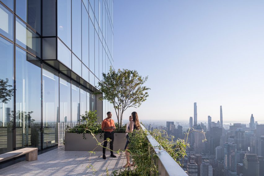 Дерево на террасе с видом на Нью-Йорк