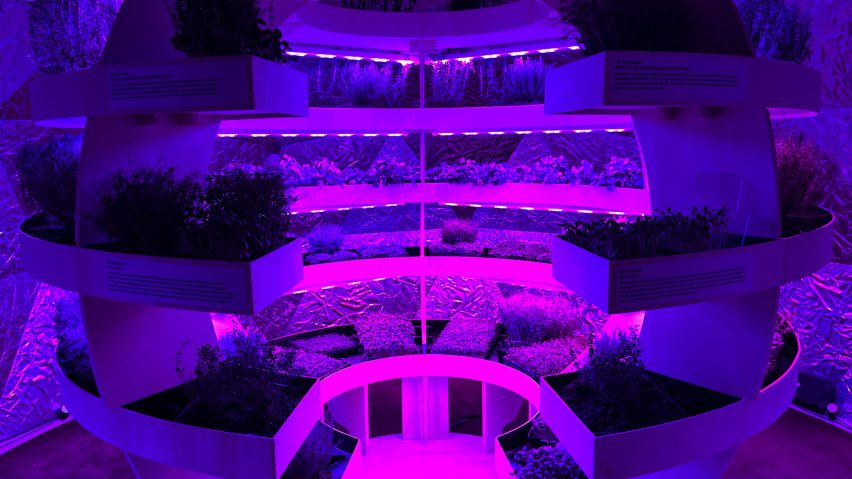 Вертикальная ферма Space10 в ультрафиолетовом свете